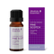 Pine Scotch Organic Oil 10ml-Absolute Essential-Matakana Pharmacy