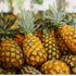 Pineapple & Coconut Bath & Body Oil | Luxury Oil-WOO | World Of Oils-Matakana Pharmacy