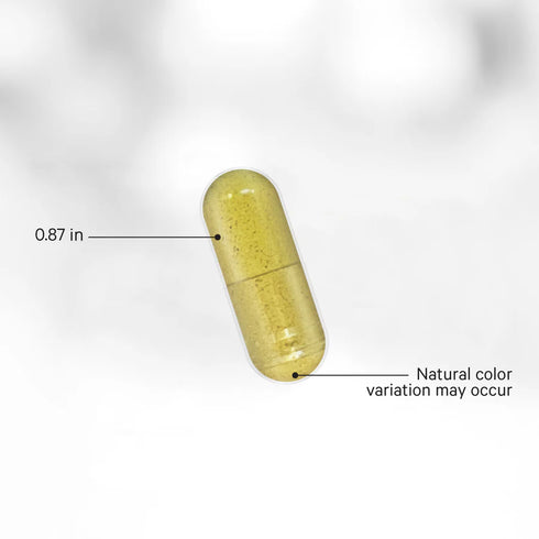 Polyphenols Broad Spectrum+ 120 Capsules-CODEAGE-Matakana Pharmacy