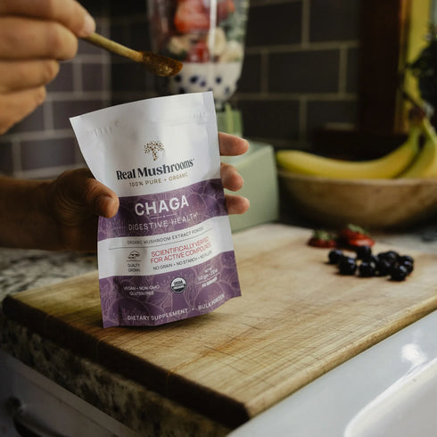 Chaga Extract Powder 60g-Real Mushrooms-Matakana Pharmacy
