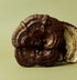 Reishi 240 Capsules | Superfeast