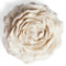 Peony Passive Diffuser photographed in use
