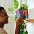 Salty Passionfruit Sachet 30s | Everyday Hydration Salts-Sodii-Matakana Pharmacy