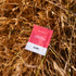 Salty Raspberry Sachet 30s | Everyday Hydration Salts-Sodii-Matakana Pharmacy