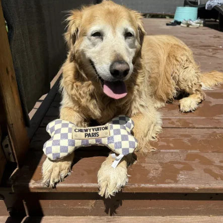 Checker Chewy Vuiton Bones Squeaker Dog Toy XL-Haute Diggity Dog-Matakana Pharmacy