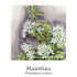 Self Care Support Drops 20ml-First Light Natural Health-Matakana Pharmacy