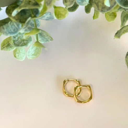 Earrings Simple Sleepers Plain-Queen Of The Foxes-Matakana Pharmacy