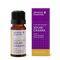 Solar Chakra Organic 10ml-Absolute Essential-Matakana Pharmacy