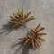 Earrings - Spine-Queen Of The Foxes-Matakana Pharmacy
