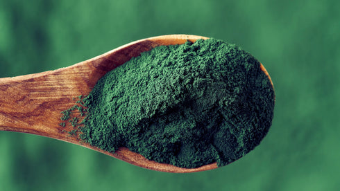 Spirulina Powder Organic 1kg-Matakana Superfoods-Matakana Pharmacy