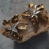 Earrings - Star Flower-Queen Of The Foxes-Matakana Pharmacy