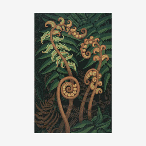 Eileen Mayo - Print - Springing Fern A3-Te Papa Store-Matakana Pharmacy