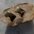 Earrings - Tabular Gold-Queen Of The Foxes-Matakana Pharmacy