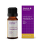 Tranquility Organic Oil 10ml-Absolute Essential-Matakana Pharmacy