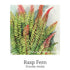 Trauma Support Drops 20ml-First Light Natural Health-Matakana Pharmacy