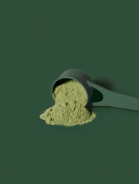 Greens+ Super Powder 180g | Matakana Pharmacy