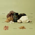 Masons Mushrooms Powder 100g-Matakana Pharmacy