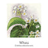 Weight Support Spray 20ml-First Light Natural Health-Matakana Pharmacy