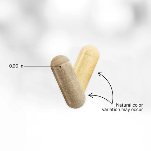 Women's Fermented Multivitamin+ 120 Capsules-CODEAGE-Matakana Pharmacy