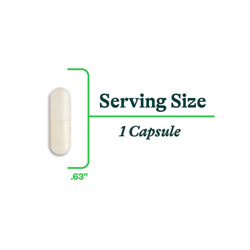 Zinc Carnosine 60caps-Seeking Health-Matakana Pharmacy