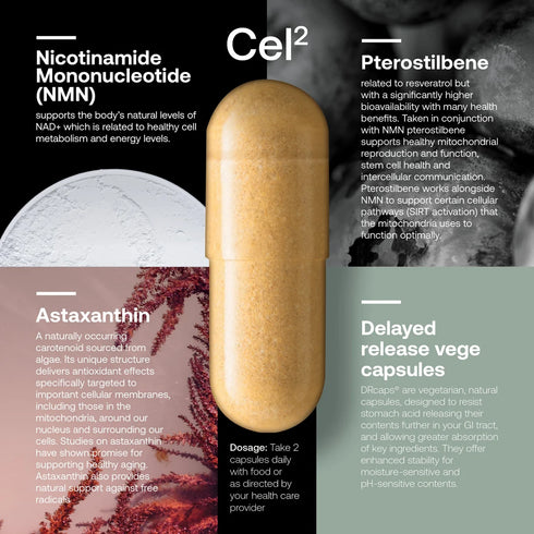 Cel123 Triple Pack - Cel1 + Cel2 + Cel3 | Cellular Rejuvenation by SRW