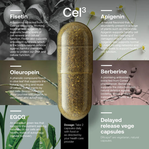 Capsule with botanical elements and text about Cel3 ingredients on a gray background