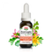 Confident Kidz Siupport Drops 20ml-First Light Natural Health-Matakana Pharmacy