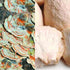 Image of coriolus hericium mushrrom
