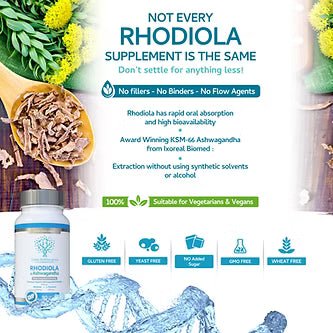 Rhodiola, Ashwagandha, L-Theanine Blend 90 Capsules