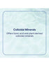 Colloidal Minerals 887ml