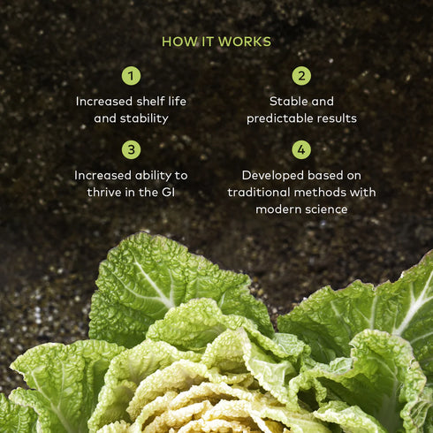Image of Ginger Beet Postbiotic how it works