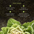 Image of Ginger Beet Postbiotic how it works