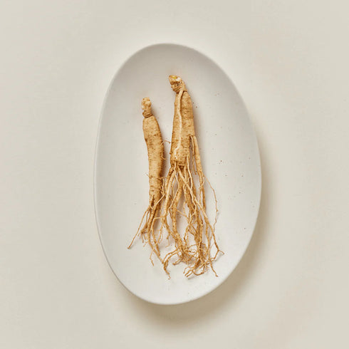 Image of Ginseng root on plate