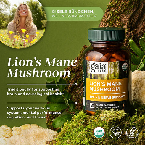 Image of Lion's Mane Mushroom caps