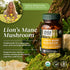 Image of Lion's Mane Mushroom caps
