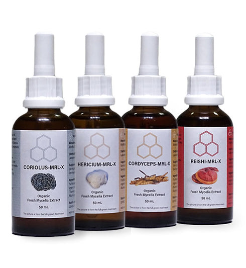 Image of mushroom extract liquids