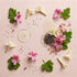 Flat lay of the ingredients behind the day cream: rose geranium and tuberose flowers, chia seeds and a dish of cream