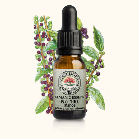 Mahoe Essence 10ml-First Light Essences-Matakana Pharmacy