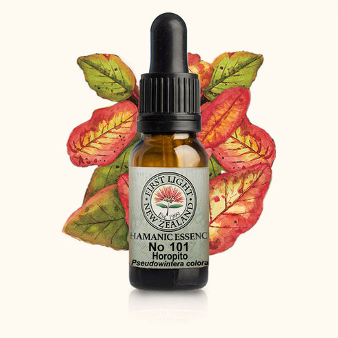 Horopito Essence 10ml-First Light Essences-Matakana Pharmacy