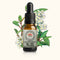 Tree Daisy Essence 10ml-First Light Essences-Matakana Pharmacy