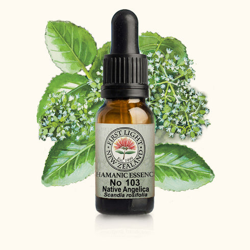 Native Angelica Essence 10ml-First Light Essences-Matakana Pharmacy