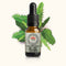 Tree Nettle Essence 10ml-First Light Essences-Matakana Pharmacy