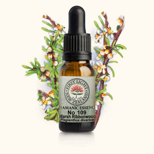 Marsh Ribbonwood Essence 10ml-First Light Essences-Matakana Pharmacy