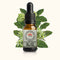 Bridal Tree 10ml-First Light Essences-Matakana Pharmacy