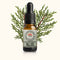Silver Pine 10ml-First Light Essences-Matakana Pharmacy