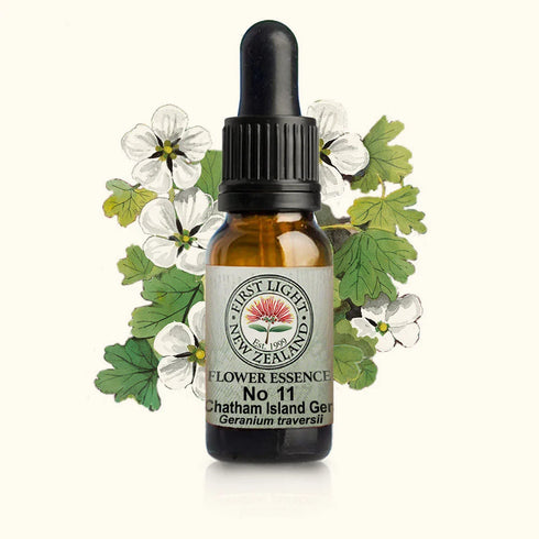 Chatham Island Geranium Essence 10ml-First Light Essences-Matakana Pharmacy