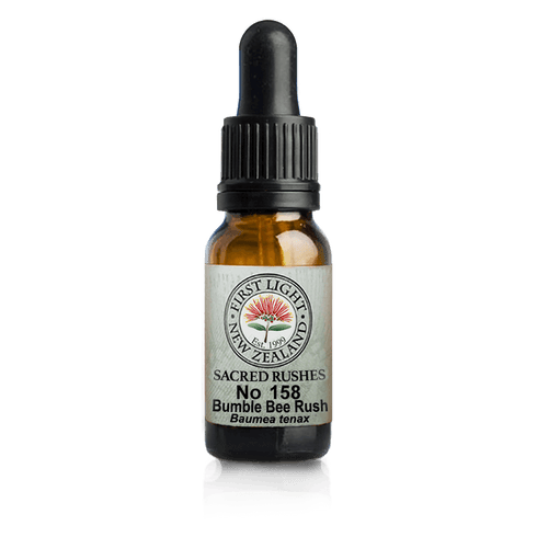 Bumble Bee Rush 10ml-First Light Essences-Matakana Pharmacy