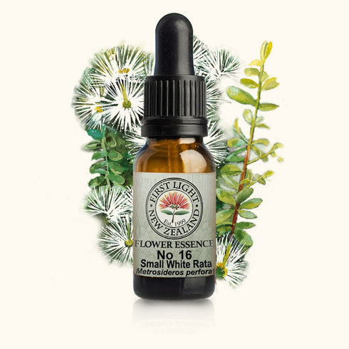 Small White Rata Essence 10ml-First Light Essences-Matakana Pharmacy