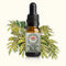 King Fern Essence 10ml-First Light Essences-Matakana Pharmacy