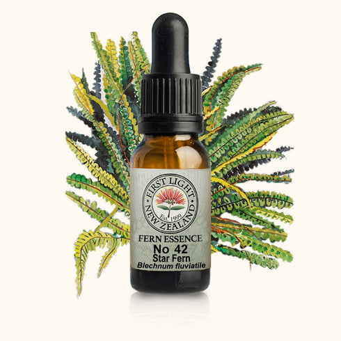 Star Fern Essence 10ml-First Light Essences-Matakana Pharmacy